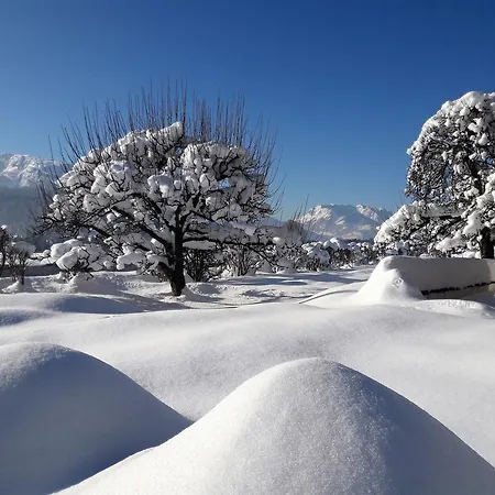 Appartamento Alpenchalet